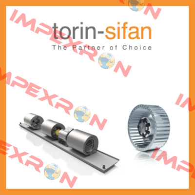 Torin-Sifan