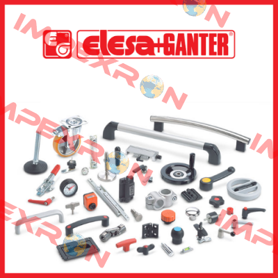 301751  Elesa Ganter