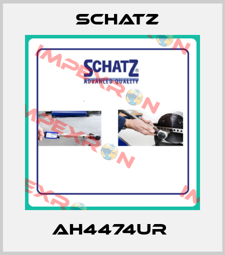 AH4474UR  Schatz