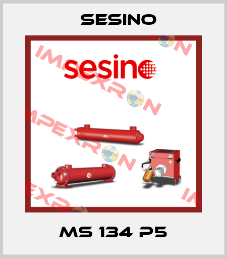 MS 134 P5 Sesino
