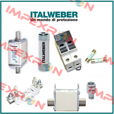 0308208  Italweber