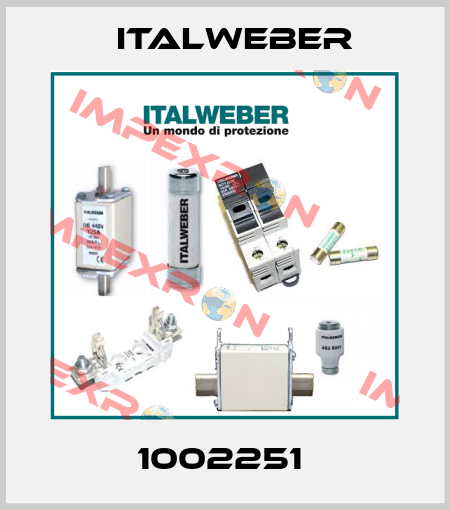 1002251  Italweber