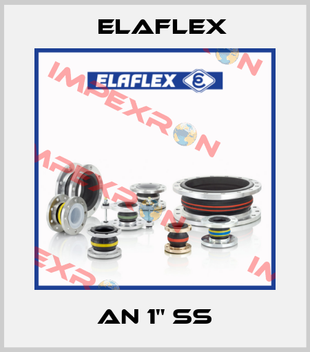 AN 1" SS Elaflex