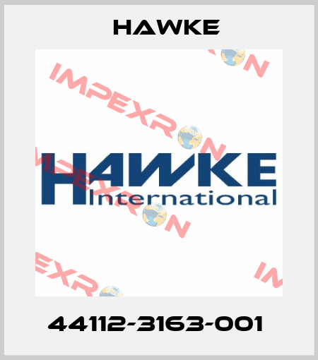44112-3163-001  Hawke