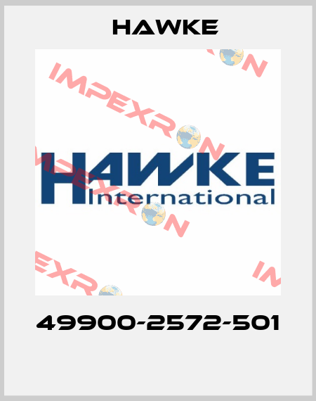 49900-2572-501  Hawke