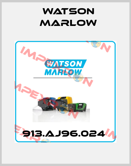 913.AJ96.024  Watson Marlow