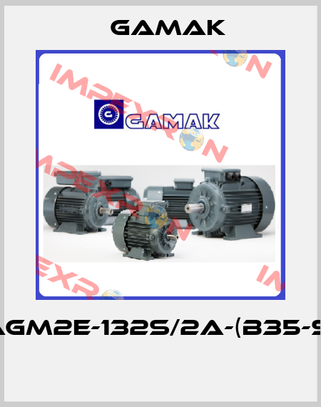 AGM2E-132S/2a-(B35-S)  Gamak