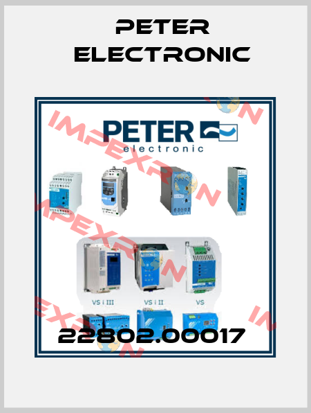 22802.00017  Peter Electronic