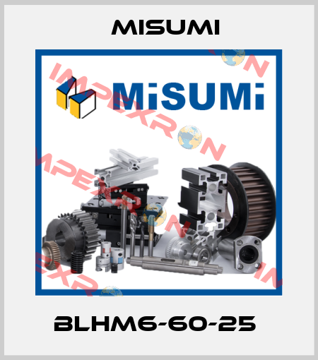 BLHM6-60-25  Misumi