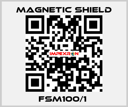 FSM100/1  Magnetic Shield