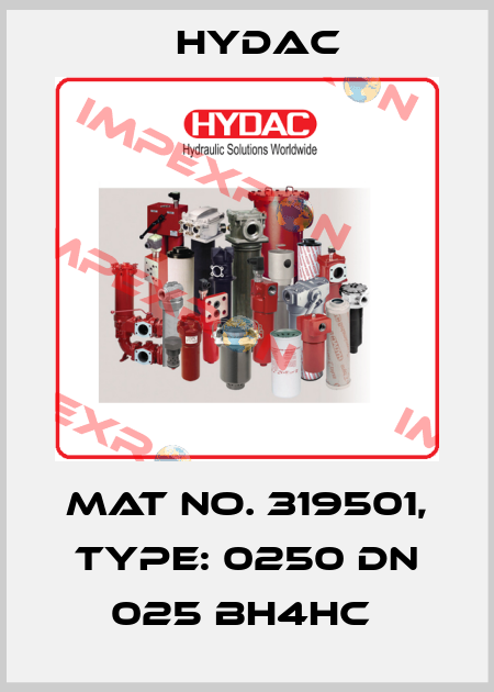 Mat No. 319501, Type: 0250 DN 025 BH4HC  Hydac