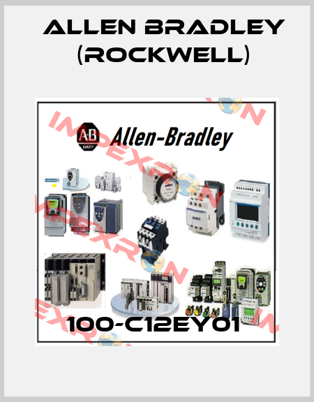 100-C12EY01  Allen Bradley (Rockwell)