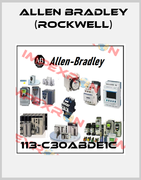 113-C30ABDE1C  Allen Bradley (Rockwell)