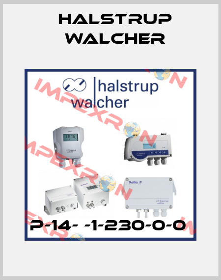 P-14- -1-230-0-0  Halstrup Walcher