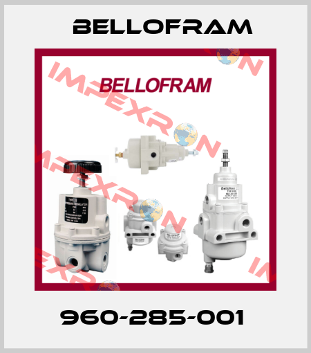 960-285-001  Bellofram