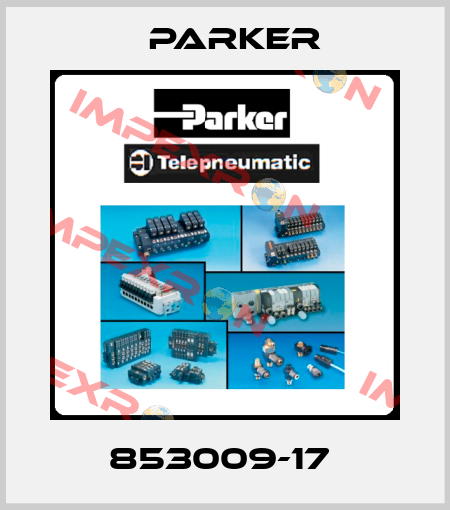 853009-17  Parker