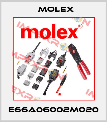 E66A06002M020 Molex