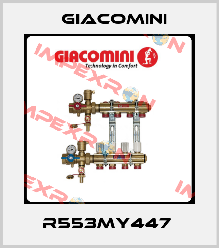R553MY447  Giacomini
