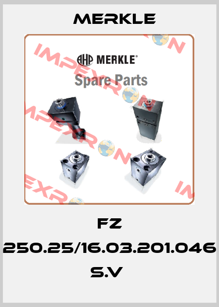 FZ 250.25/16.03.201.046 S.V  Merkle