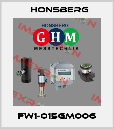 FW1-015GM006 Honsberg