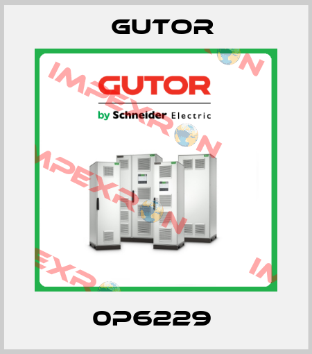 0P6229  Gutor