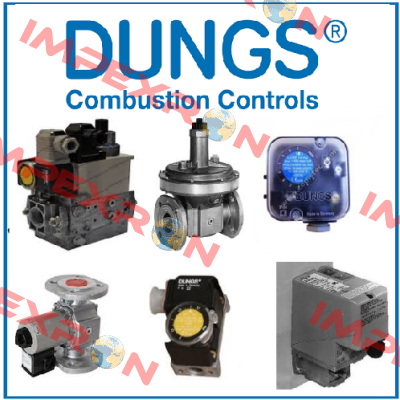 DMV-D 5065/11 DN 65 eco Dungs