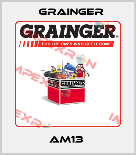 AM13  Grainger