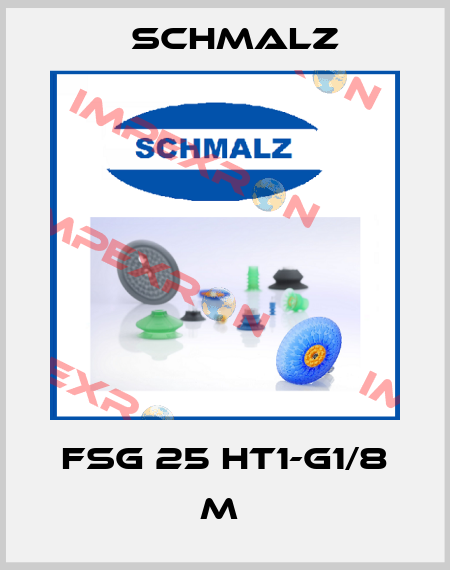 FSG 25 HT1-G1/8 M  Schmalz