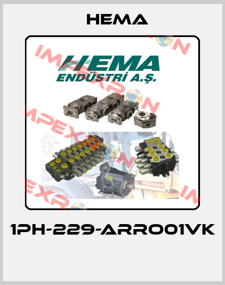 1PH-229-ARRO01VK  Hema