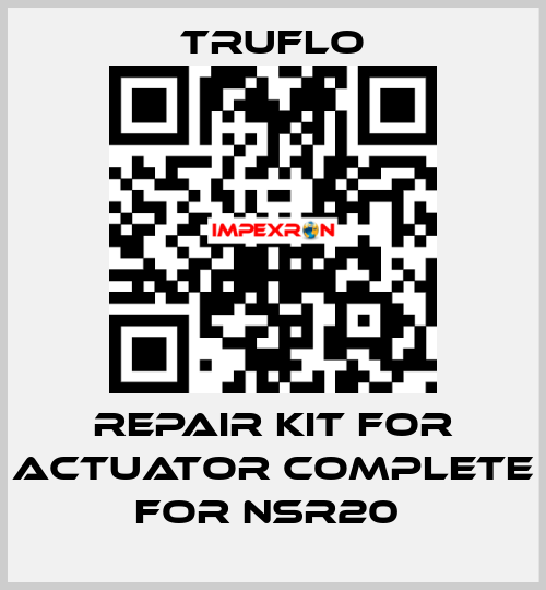 Repair Kit For Actuator Complete For NSR20  TRUFLO