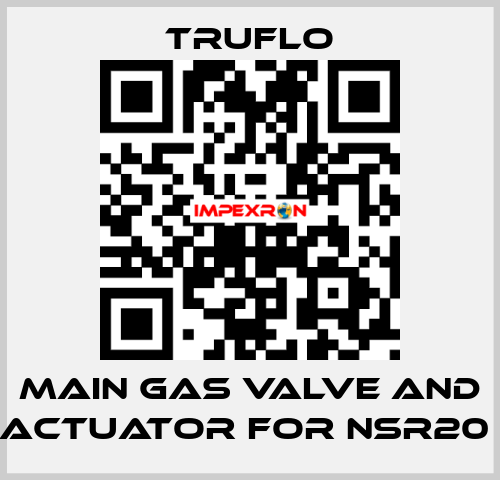 Main Gas Valve and Actuator For NSR20  TRUFLO