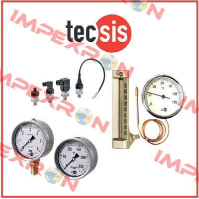 P1877B070901  Tecsis (WIKA Group)