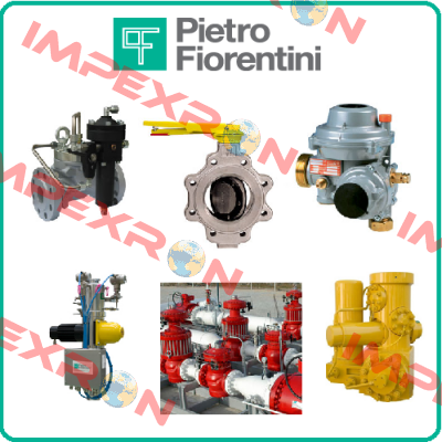 Smart Meters RSE/2001 (G4) & RSE/2,4 (G6)  Pietro Fiorentini