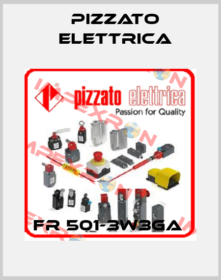 FR 501-3W3GA  Pizzato Elettrica