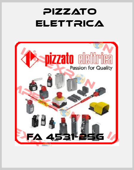 FA 4531-2SG  Pizzato Elettrica