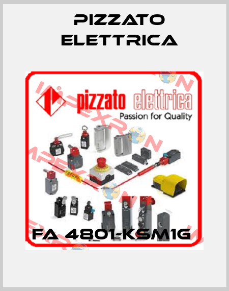 FA 4801-KSM1G  Pizzato Elettrica