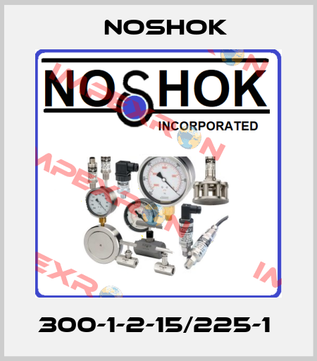 300-1-2-15/225-1  Noshok