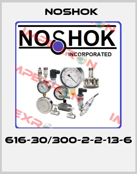 616-30/300-2-2-13-6  Noshok