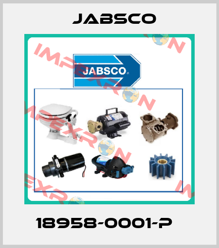 18958-0001-p   Jabsco