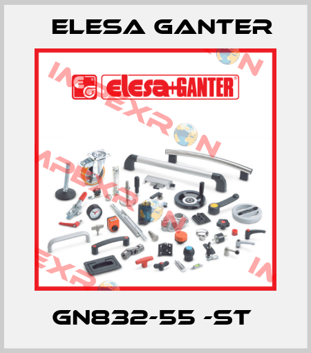 GN832-55 -ST  Elesa Ganter