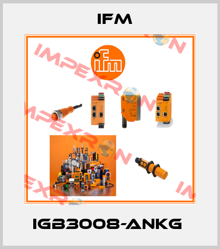 IGB3008-ANKG  Ifm