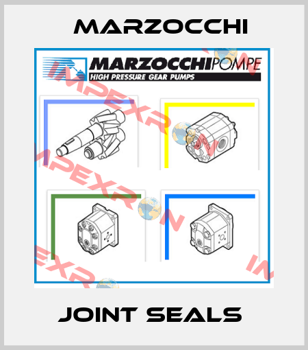 JOINT SEALS  Marzocchi