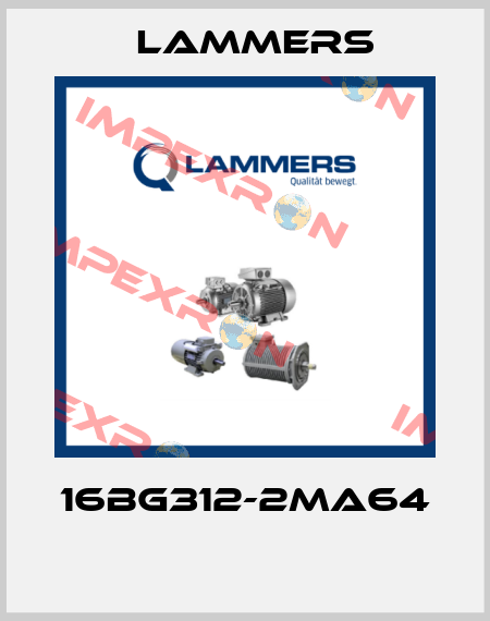 16BG312-2MA64  Lammers