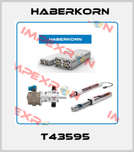 T43595  Haberkorn