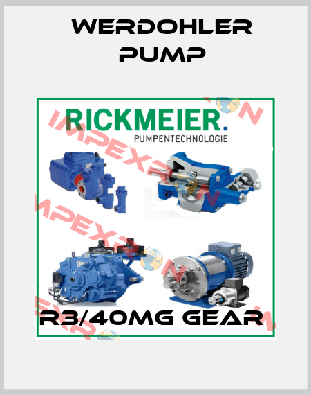 R3/40MG GEAR  Werdohler Pump