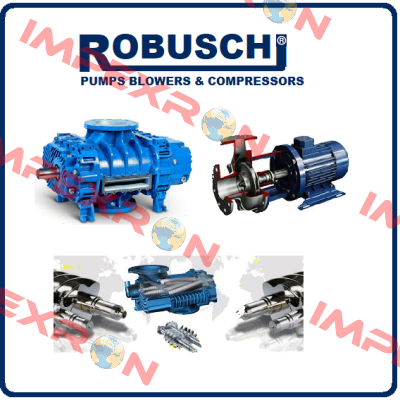 314049  Robuschi