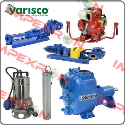 10018231 Varisco pumps