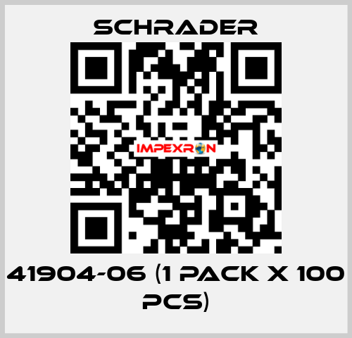 41904-06 (1 pack x 100 pcs) Schrader