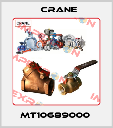 MT10689000  Crane