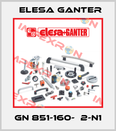 GN 851-160-Т2-N1 Elesa Ganter